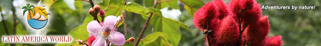 LOGO+text Header Blog  M.M.