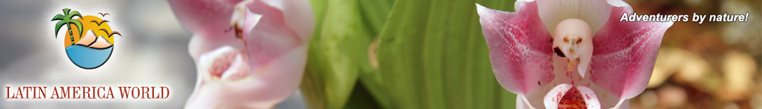 LOGO+text Header Impressum flower1  M.M.