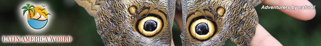 LOGO+text Header Web-TV  M.M.