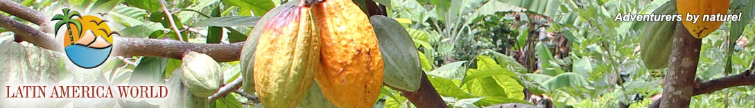 LOGO+text Header america1  M.M.