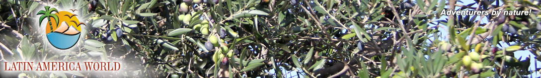 LOGO+text Header europe  M.M.